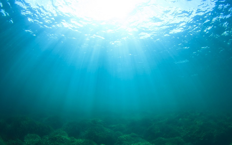 藻場を守りたい～研究所の水上ドローン実証実験記～第1回